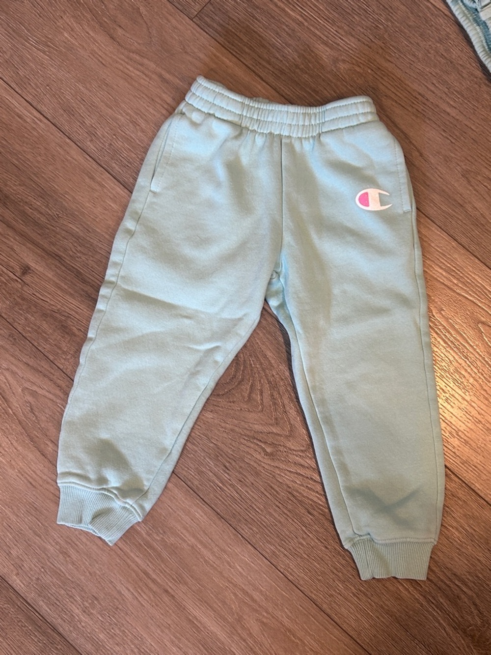 NWOT Champion Kids Light Mint Green Hoodie & Joggers Set Size 4T - Picture 5 of 5